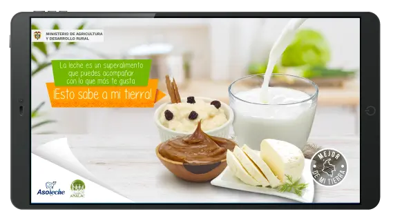 portafolio creativo bmc