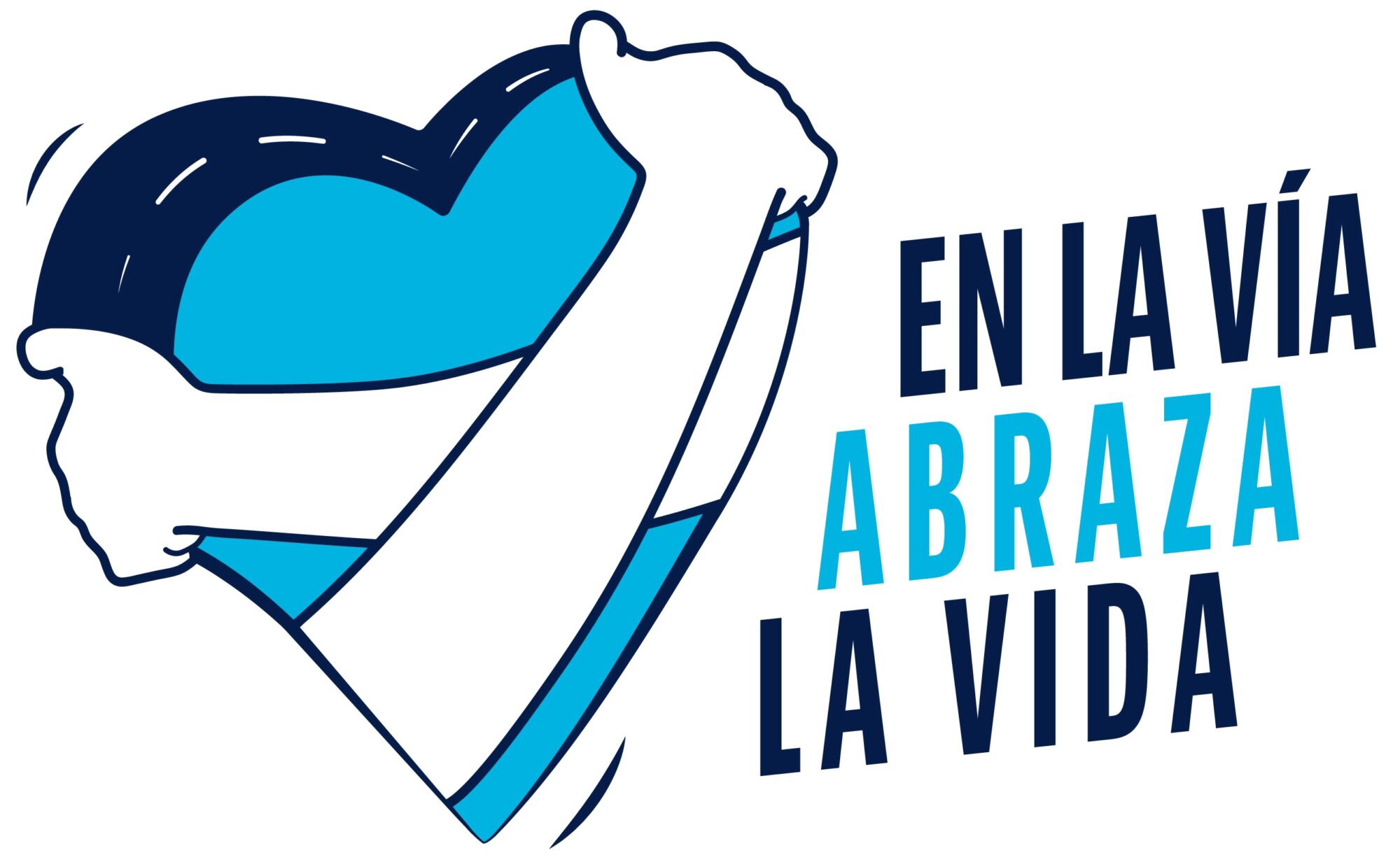 creatividad-resultados-ANSV